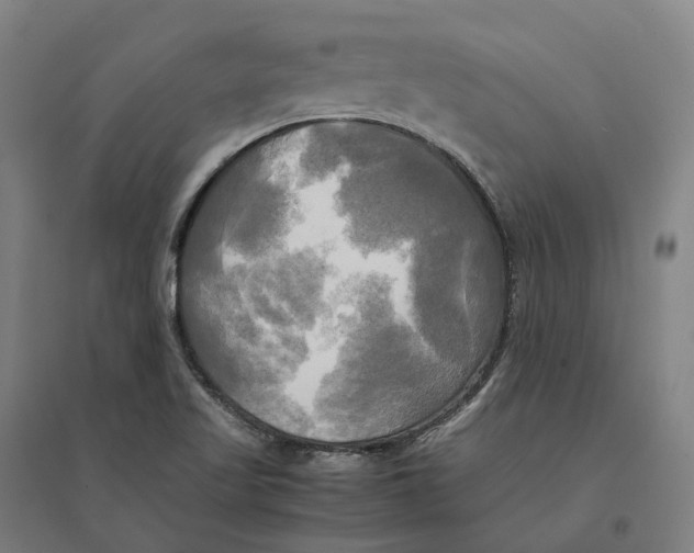 X0000095121509200712301748