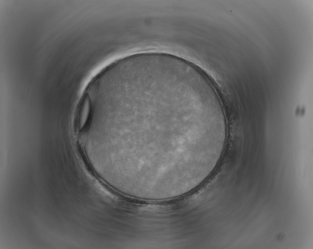 X0000095121510200712301748