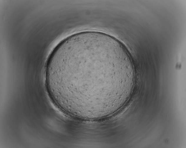 X0000095121511200712301748