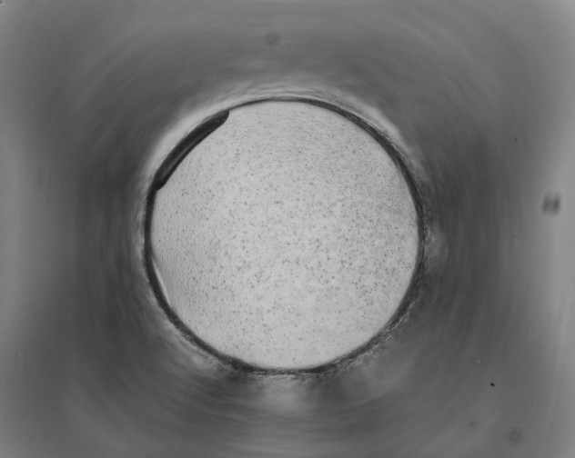 X0000095121512200712301748