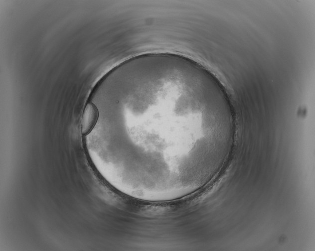 X0000095121513200712301748