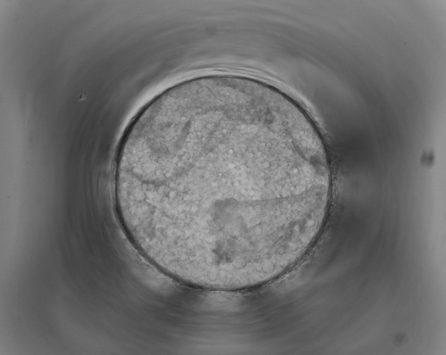 X0000095121514200712301748