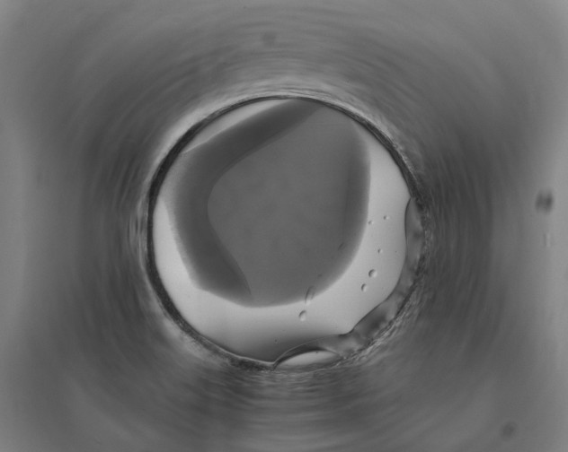 X0000095121515200712301748