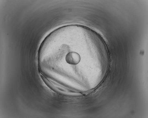 X0000095121516200712301748