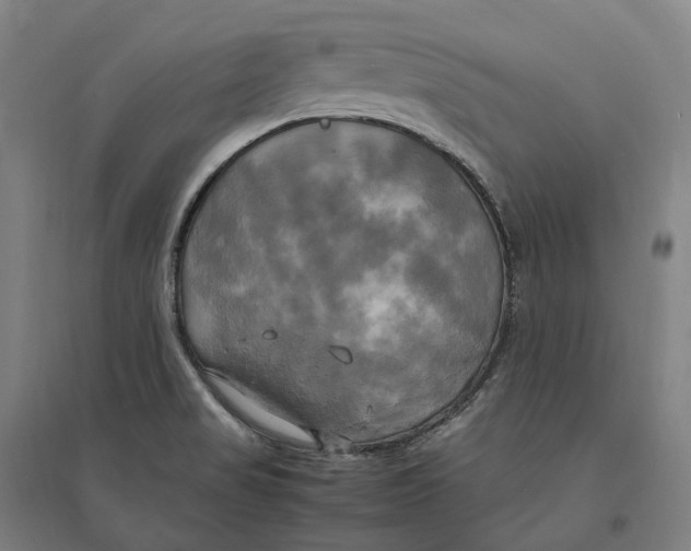 X0000095121517200712301748