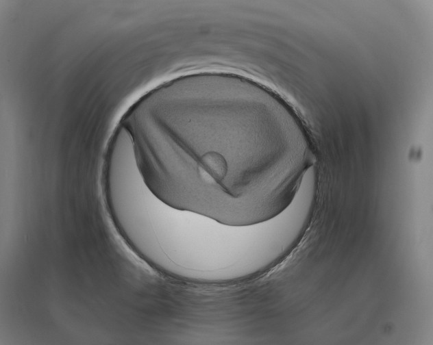 X0000095121518200712301748