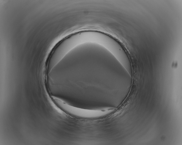 X0000095121519200712301748