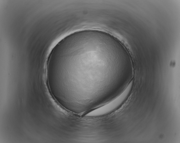 X0000095121520200712301748