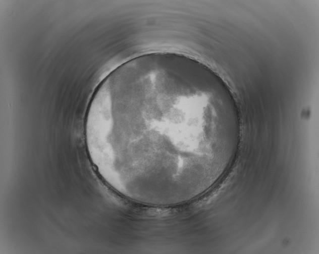 X0000095121521200712301748