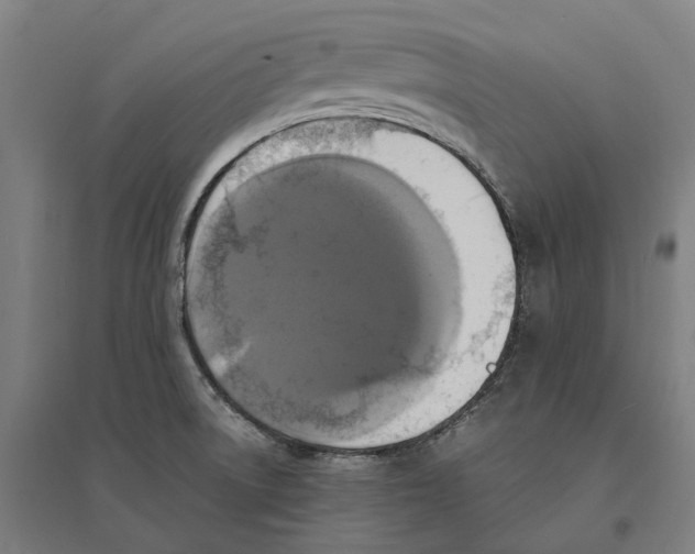 X0000095121522200712301748