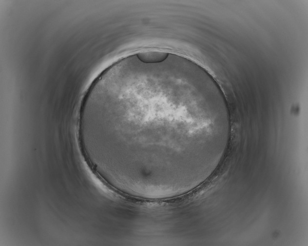 X0000095121523200712301748