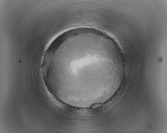 X0000095121524200712301748