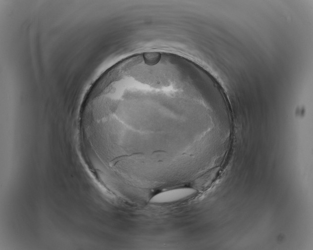 X0000095121525200712301748