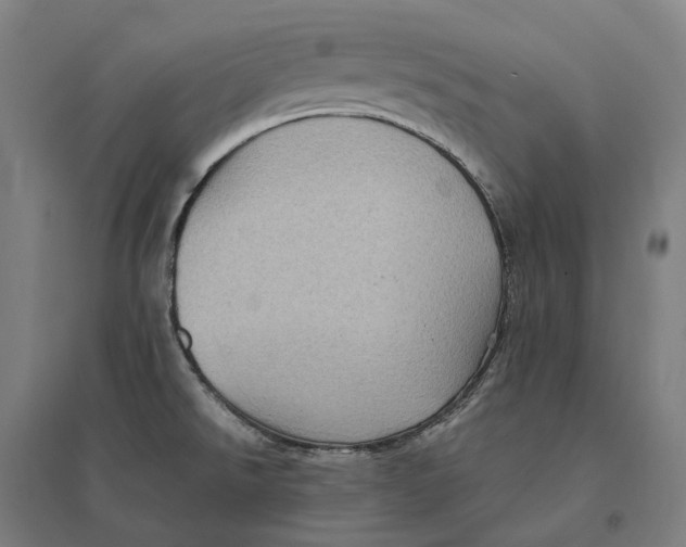 X0000095121526200712301748