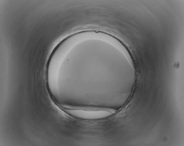 X0000095121527200712301748