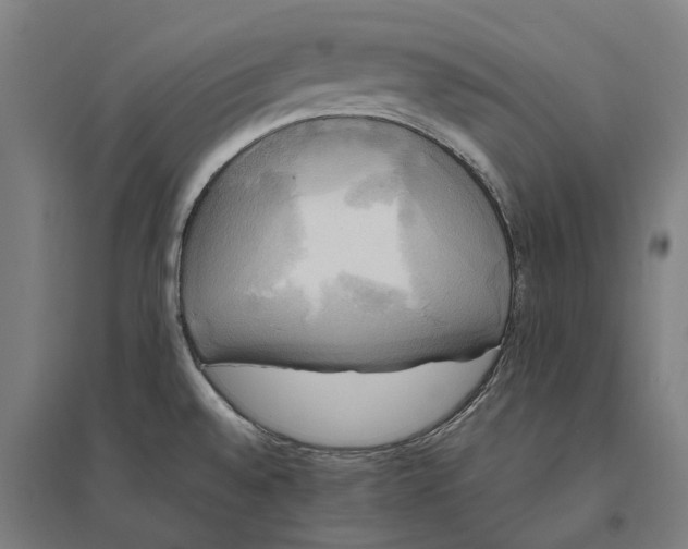 X0000095121528200712301748