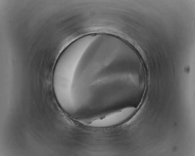 X0000095121529200712301748