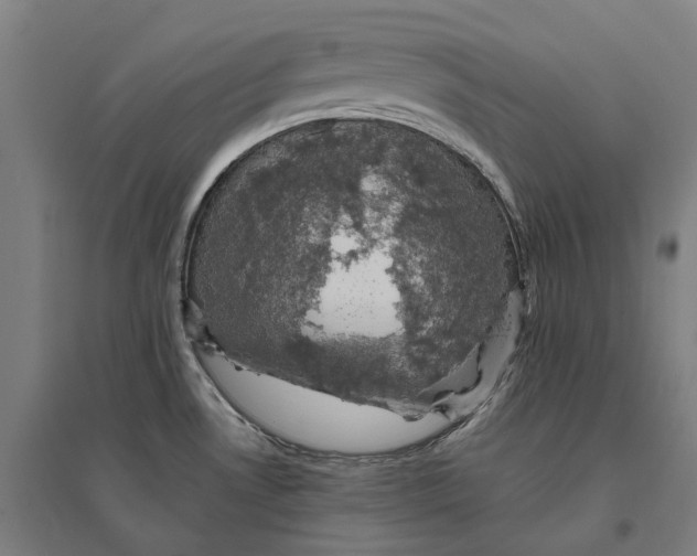 X0000095121530200712301748