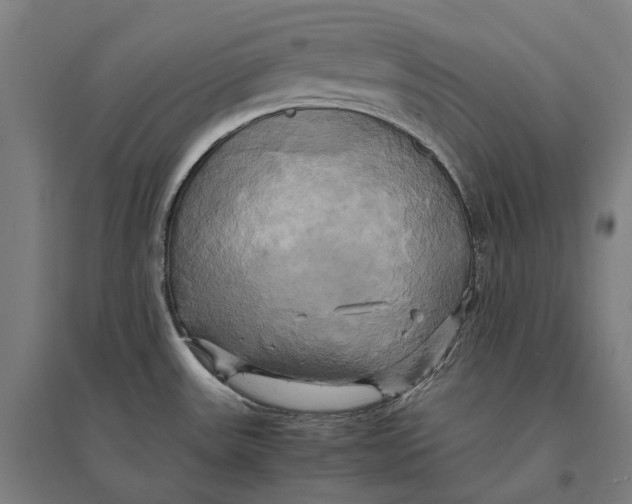 X0000095121531200712301748