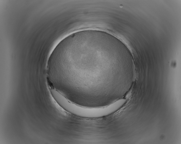 X0000095121532200712301748