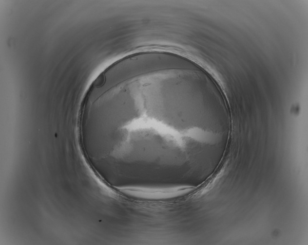 X0000095121533200712301748