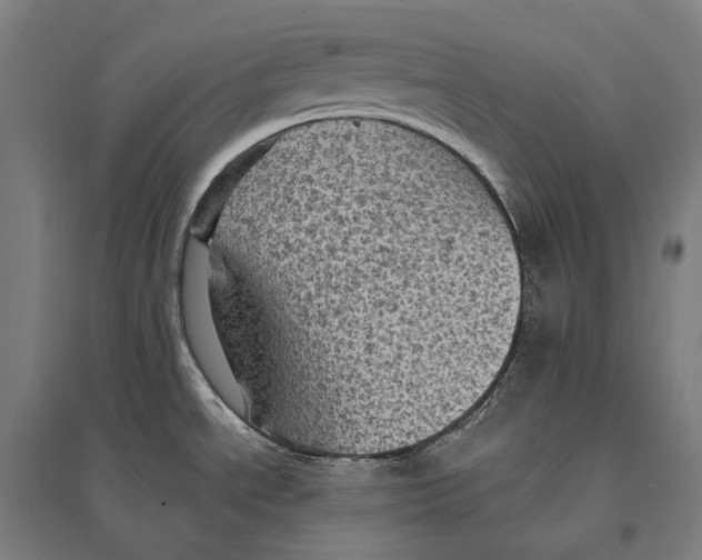 X0000095121534200712301748