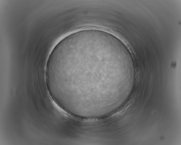 X0000095121535200712301748