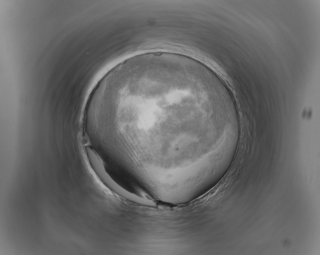 X0000095121536200712301748