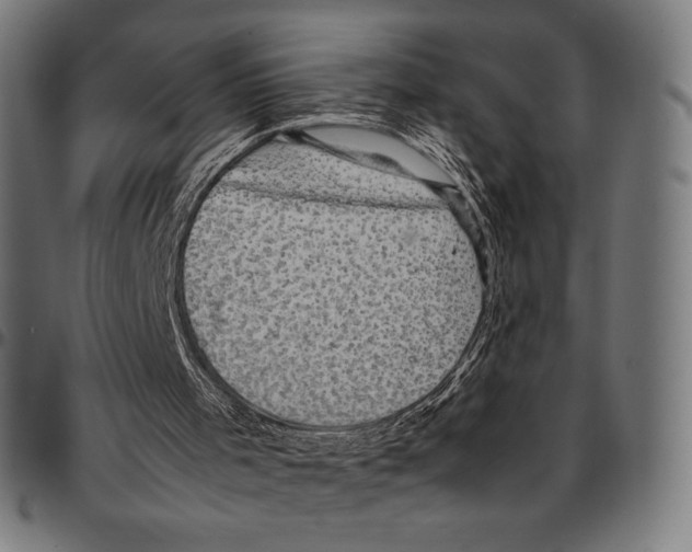 X0000095120001200801041233