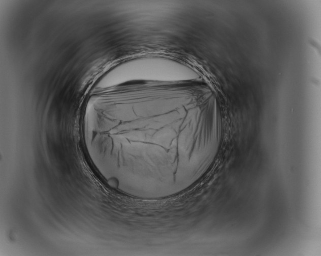 X0000095120002200801041233