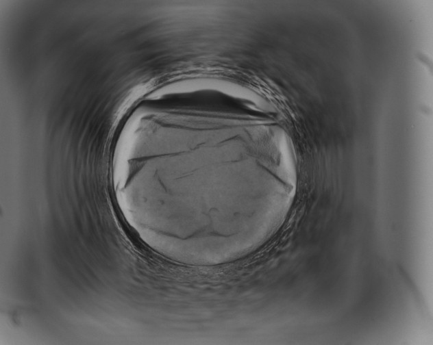 X0000095120003200801041233