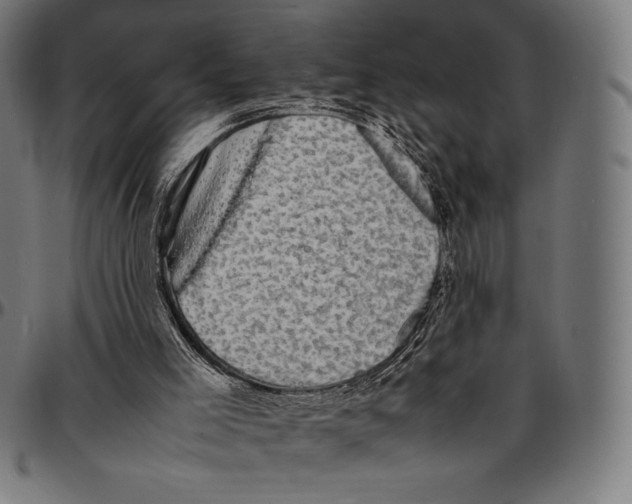 X0000095120005200801041233