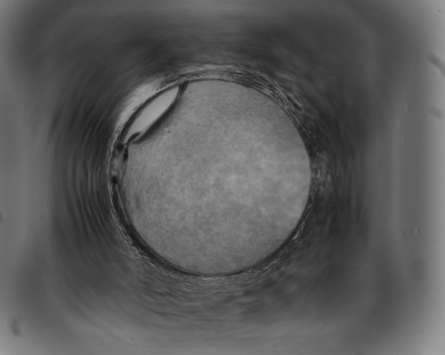 X0000095120006200801041233