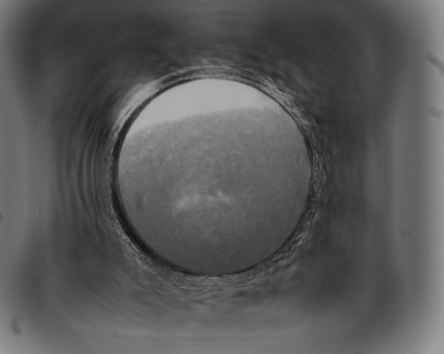 X0000095120007200801041233