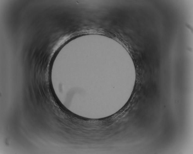 X0000095120008200801041233