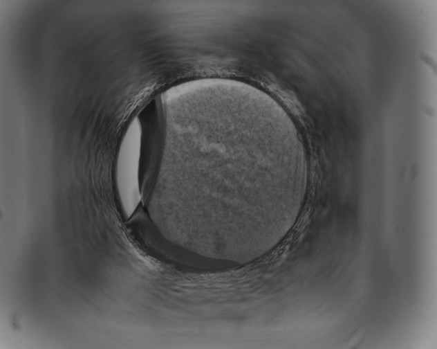 X0000095120009200801041233