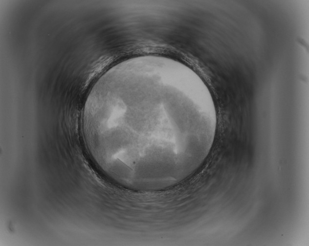 X0000095120010200801041233