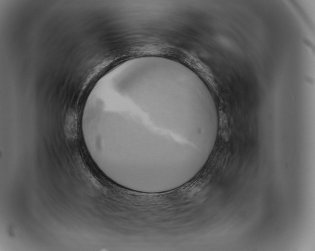 X0000095120012200801041233