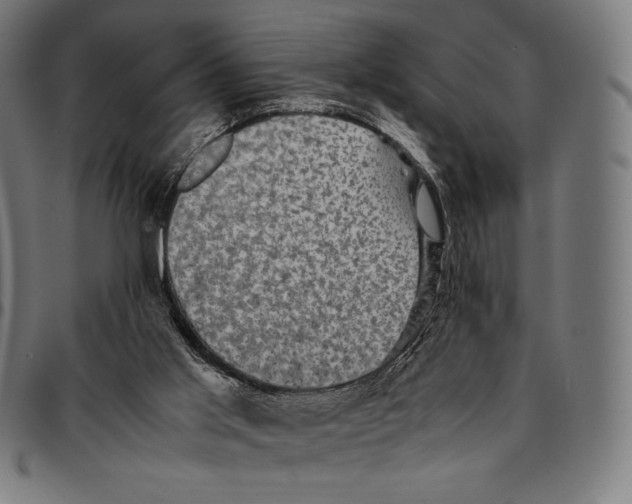 X0000095120013200801041233