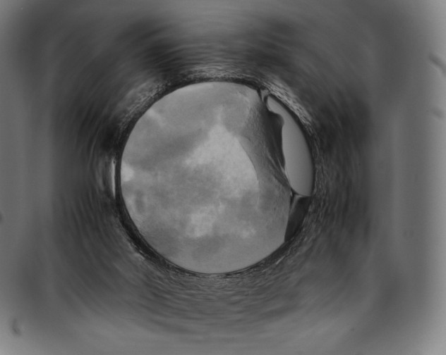 X0000095120014200801041233