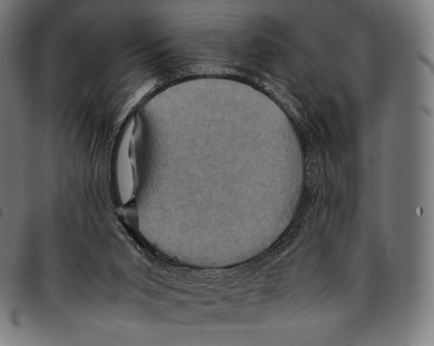 X0000095120015200801041233