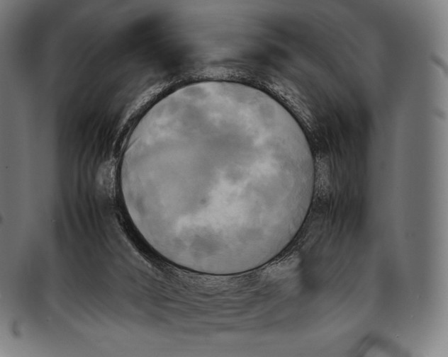 X0000095120016200801041233