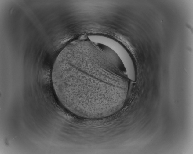 X0000095120017200801041233