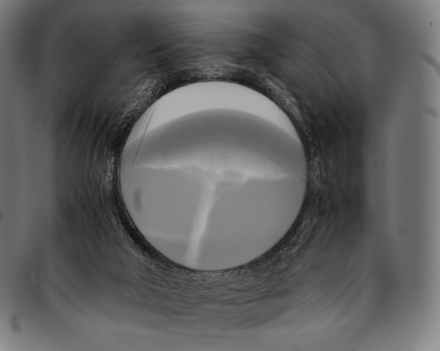 X0000095120018200801041233