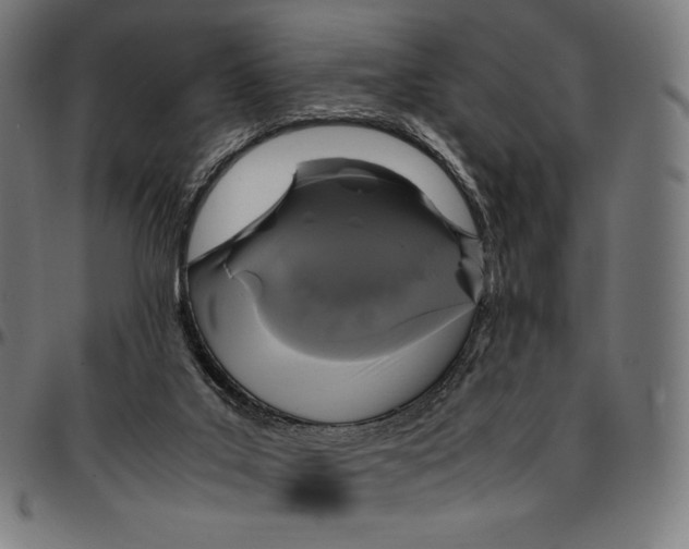 X0000095120019200801041233