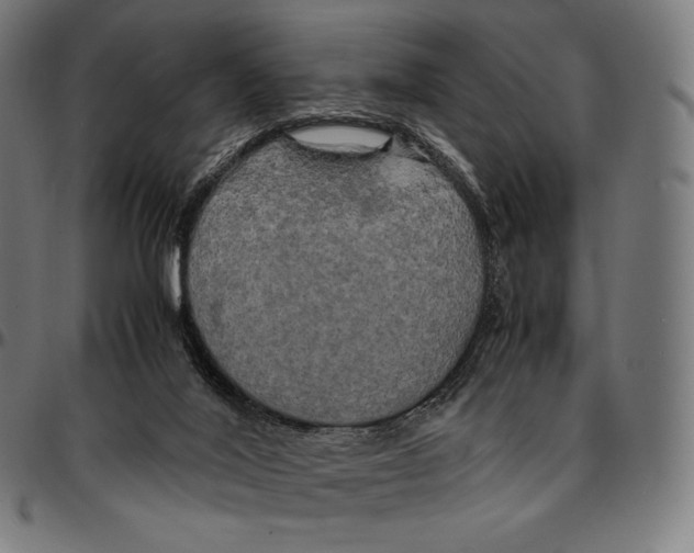 X0000095120020200801041233