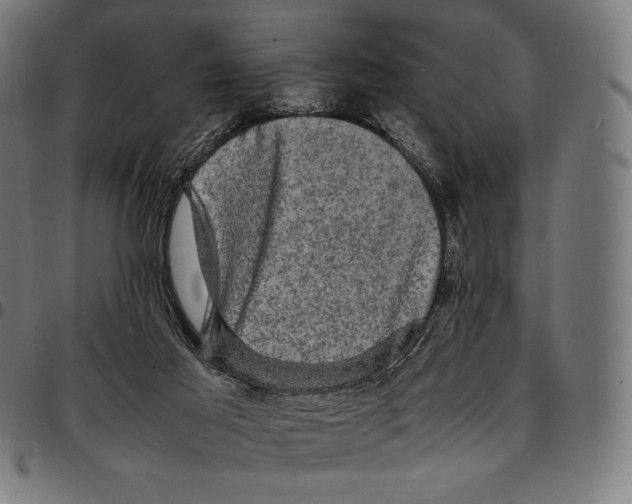 X0000095120021200801041233