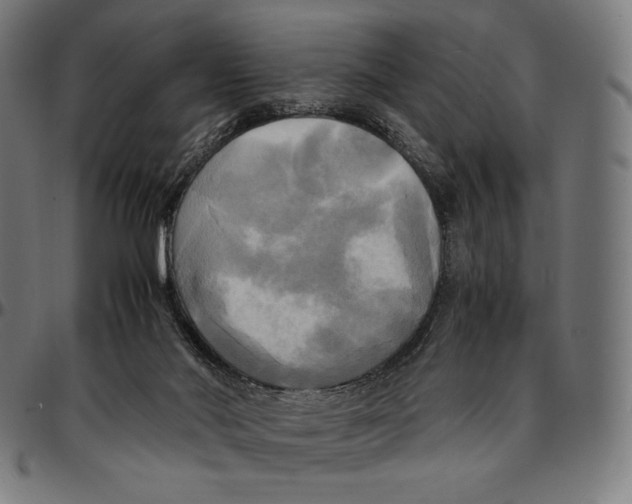 X0000095120022200801041233