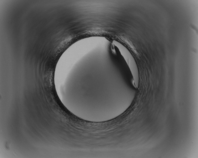 X0000095120023200801041233