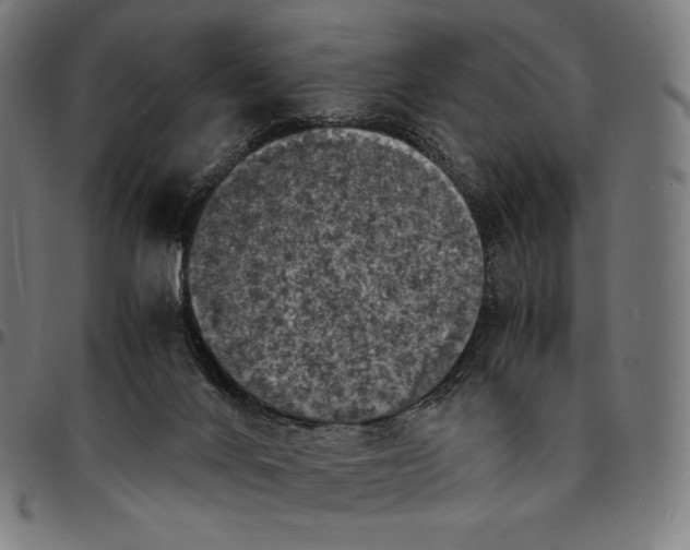 X0000095120024200801041233